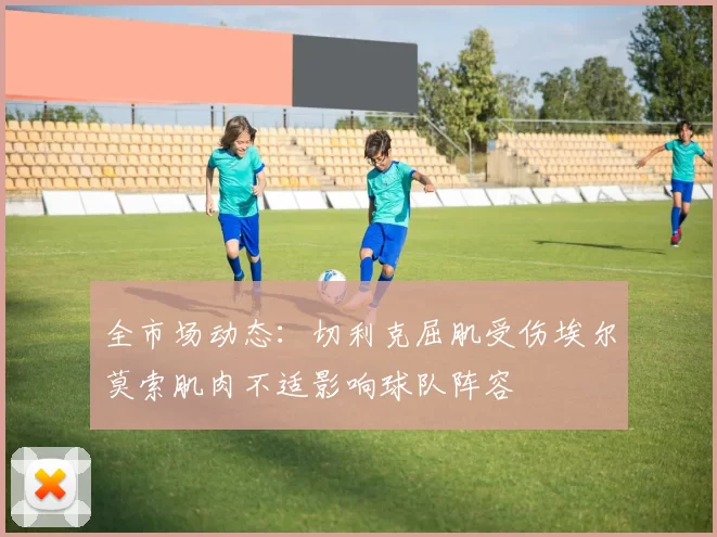 全市场动态：切利克屈肌受伤埃尔莫索肌肉不适影响球队阵容